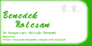 benedek molcsan business card