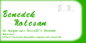 benedek molcsan business card